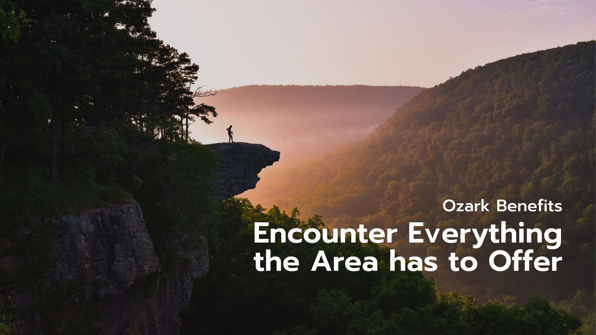 A person stands on a cliff overlooking a foggy valley at sunrise.